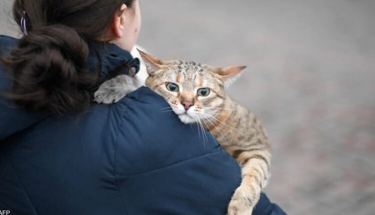 القرار قوبل بتفاعل واسع