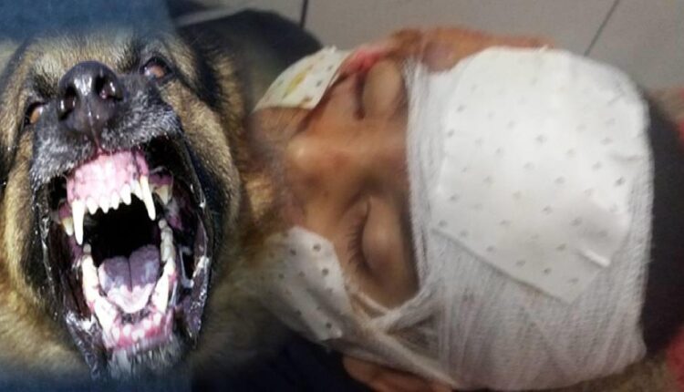 صورة من الأرشيف